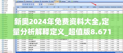 新奥2024年免费资料大全,定量分析解释定义_超值版8.671