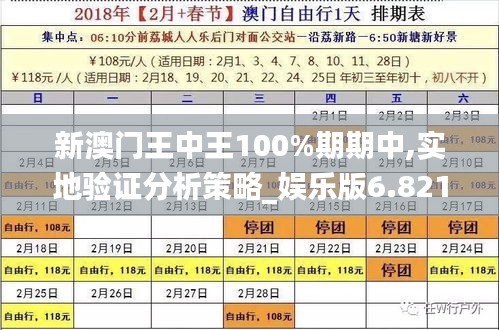 新澳门王中王100%期期中,实地验证分析策略_娱乐版6.821