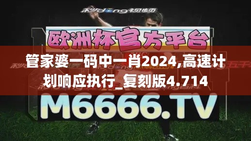 管家婆一码中一肖2024,高速计划响应执行_复刻版4.714