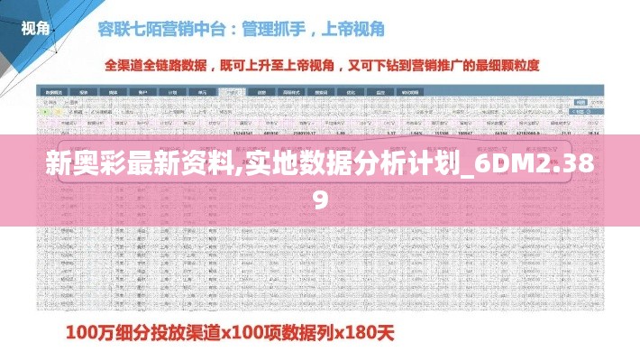 新奥彩最新资料,实地数据分析计划_6DM2.389