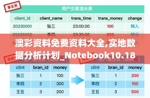 澳彩资料免费资料大全,实地数据分析计划_Notebook10.189