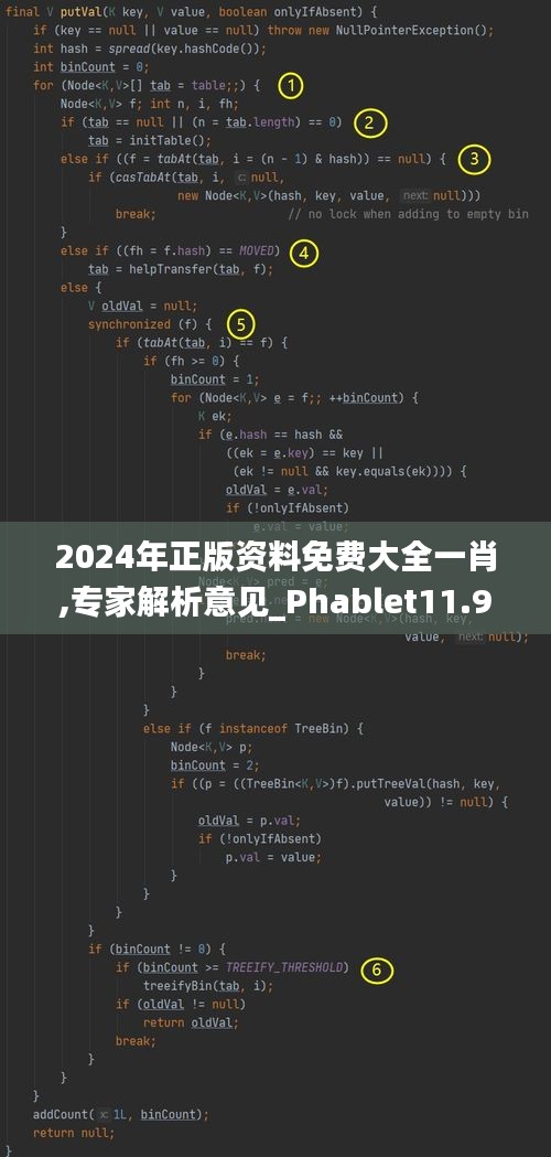 2024年正版资料免费大全一肖,专家解析意见_Phablet11.903