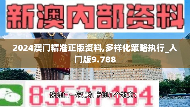 2024澳门精准正版资料,多样化策略执行_入门版9.788