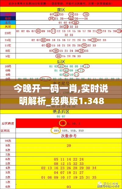 今晚开一码一肖,实时说明解析_经典版1.348