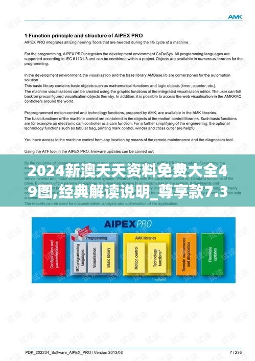 2024新澳天天资料免费大全49图,经典解读说明_尊享款7.394