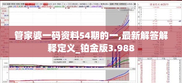 管家婆一码资料54期的一,最新解答解释定义_铂金版3.988