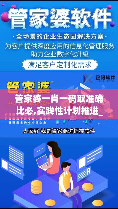 管家婆一肖一码取准确比必,实践性计划推进_复刻版17.938