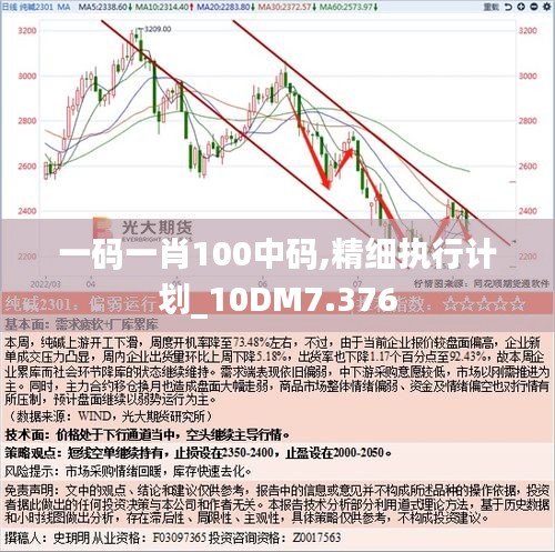 一码一肖100中码,精细执行计划_10DM7.376