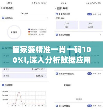 管家婆精准一肖一码100%l,深入分析数据应用_超级版1.293