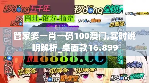 管家婆一肖一码100澳门,实时说明解析_桌面款16.899