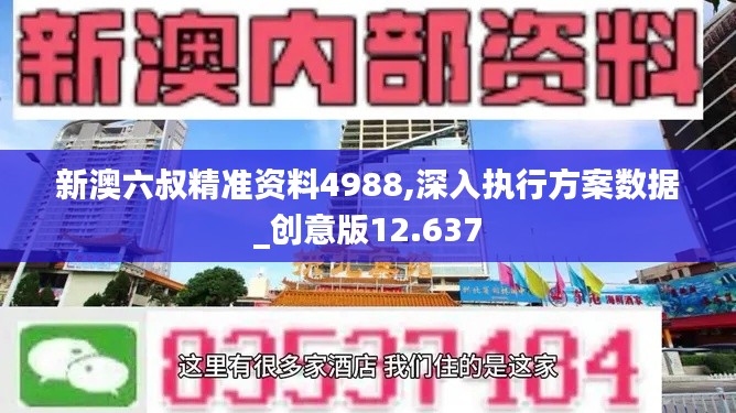 新澳六叔精准资料4988,深入执行方案数据_创意版12.637