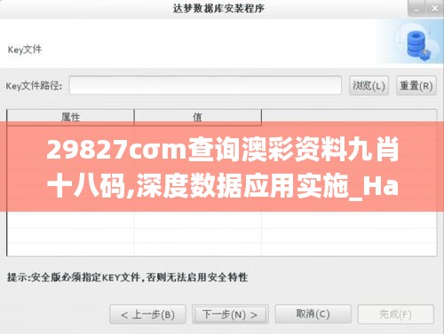 29827cσm查询澳彩资料九肖十八码,深度数据应用实施_HarmonyOS10.474