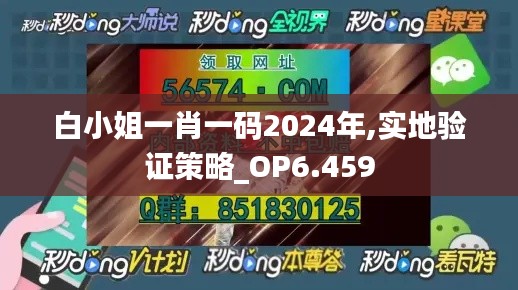 白小姐一肖一码2024年,实地验证策略_OP6.459