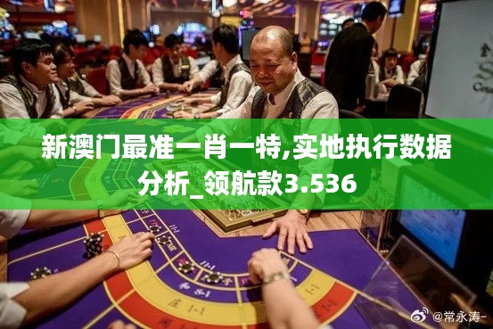 新澳门最准一肖一特,实地执行数据分析_领航款3.536