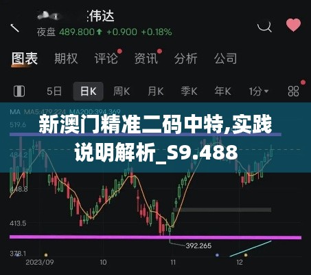 新澳门精准二码中特,实践说明解析_S9.488