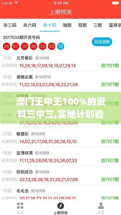 澳门王中王100%的资料三中三,实地计划验证数据_界面版6.663