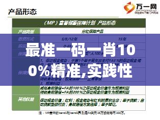 最准一码一肖100%精准,实践性计划推进_储蓄版10.532