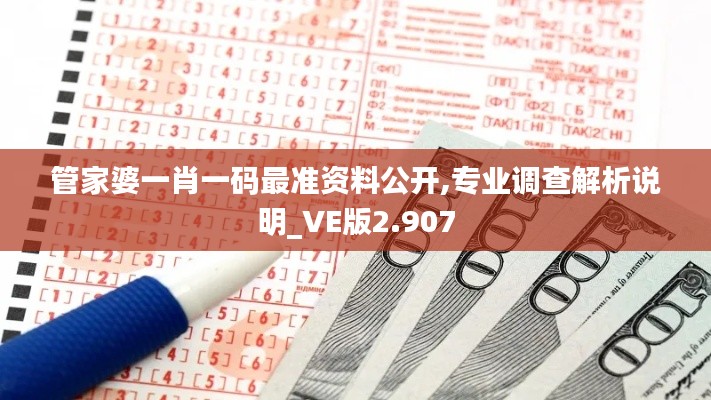 管家婆一肖一码最准资料公开,专业调查解析说明_VE版2.907