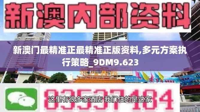 新澳门最精准正最精准正版资料,多元方案执行策略_9DM9.623