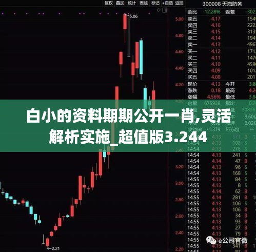 白小的资料期期公开一肖,灵活解析实施_超值版3.244