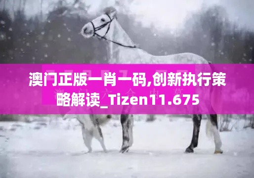 澳门正版一肖一码,创新执行策略解读_Tizen11.675