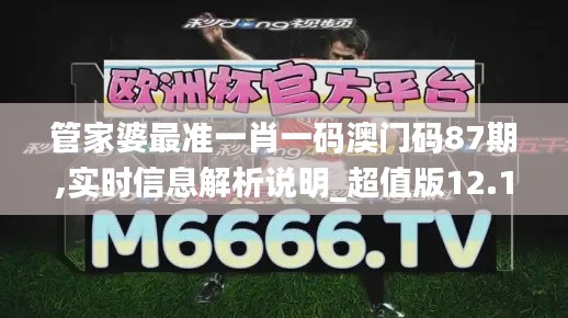 管家婆最准一肖一码澳门码87期,实时信息解析说明_超值版12.124