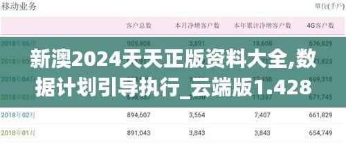 新澳2024天天正版资料大全,数据计划引导执行_云端版1.428