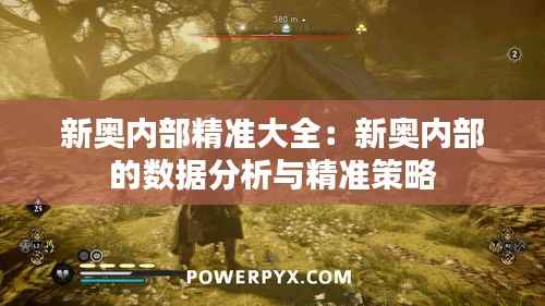 新奥内部精准大全：新奥内部的数据分析与精准策略