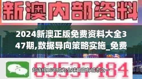 2024新澳正版免费资料大全347期,数据导向策略实施_免费版18.111