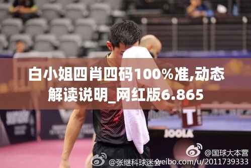 白小姐四肖四码100%准,动态解读说明_网红版6.865