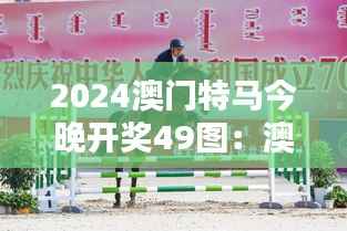 2024澳门特马今晚开奖49图：澳门特马，速度与激情的完美结合