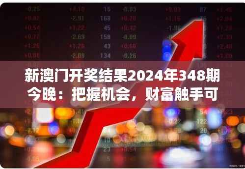 新澳门开奖结果2024年348期今晚：把握机会，财富触手可及