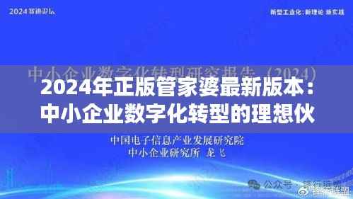 2024年正版管家婆最新版本：中小企业数字化转型的理想伙伴