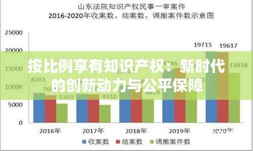 按比例享有知识产权：新时代的创新动力与公平保障