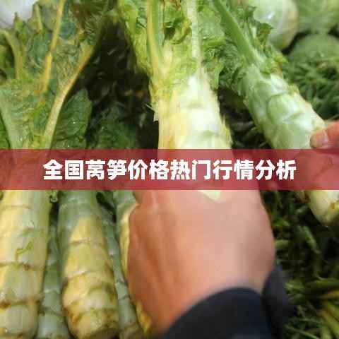 全国莴笋价格热门行情分析
