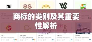 穷鸟入怀 第5页