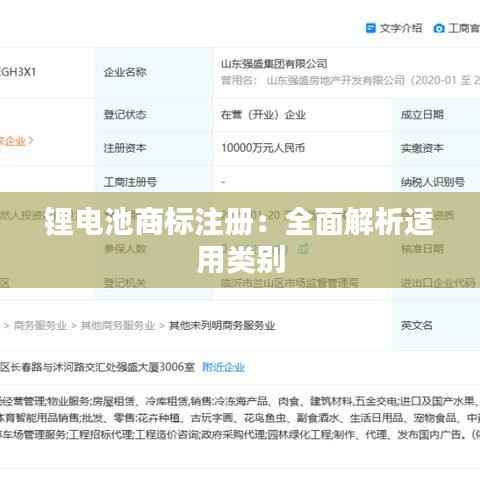 锂电池商标注册：全面解析适用类别