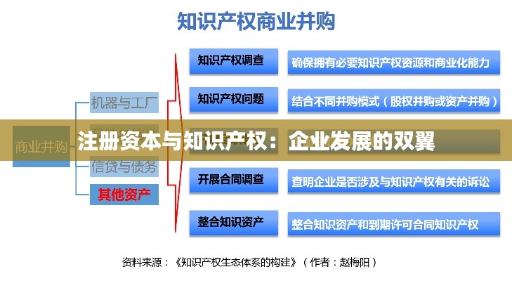 注册资本与知识产权：企业发展的双翼