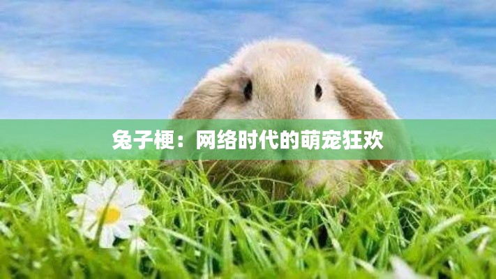 兔子梗：网络时代的萌宠狂欢