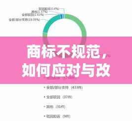 商标不规范，如何应对与改进