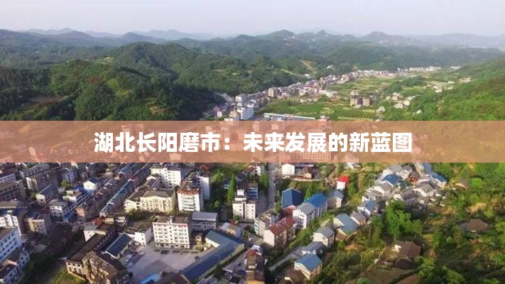 飞潜动植 第5页