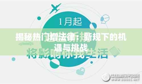 逸兴遄飞 第5页