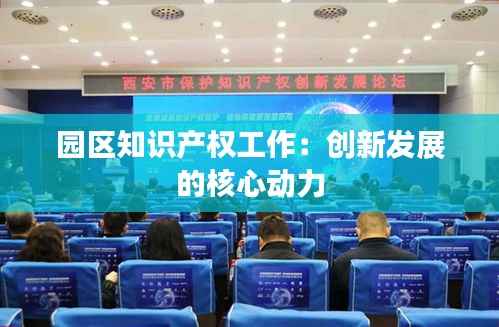 园区知识产权工作：创新发展的核心动力