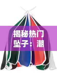 不飞则已 第4页