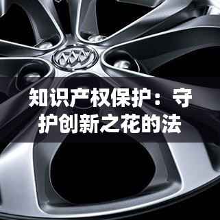 知识产权保护:守护创新之花的法律盾牌