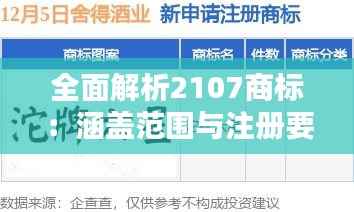 全面解析2107商标：涵盖范围与注册要点
