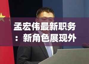 孟宏伟最新职务:新角色展现外交新篇章