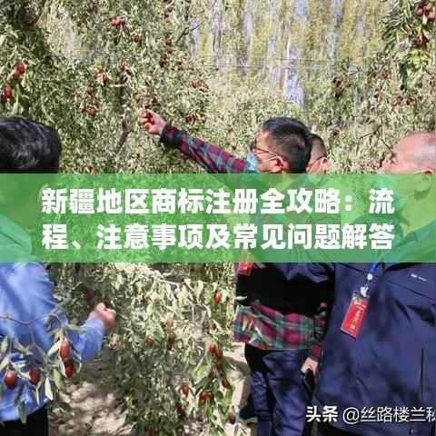 新疆地区商标注册全攻略：流程、注意事项及常见问题解答
