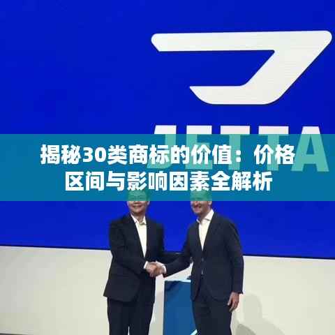 揭秘30类商标的价值：价格区间与影响因素全解析