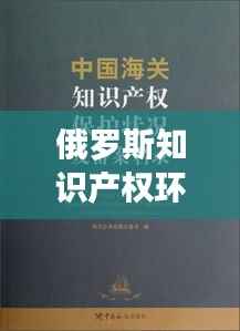 俄罗斯知识产权环境的现状与挑战